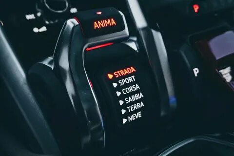 Lambo for hamster ceo что дает
