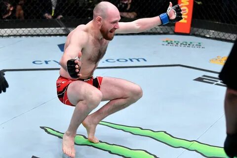Бой борщева ufc