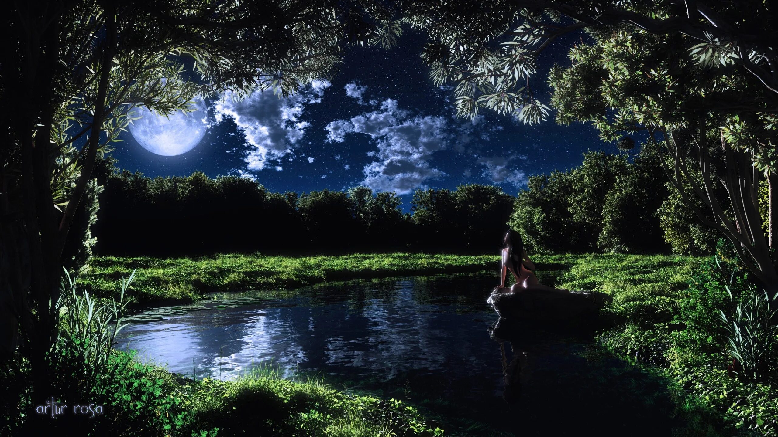 Лядов волшебное озеро. Летняя ночь. Красивые ночные пейзажи. Озеро ночью. Луна живая природа