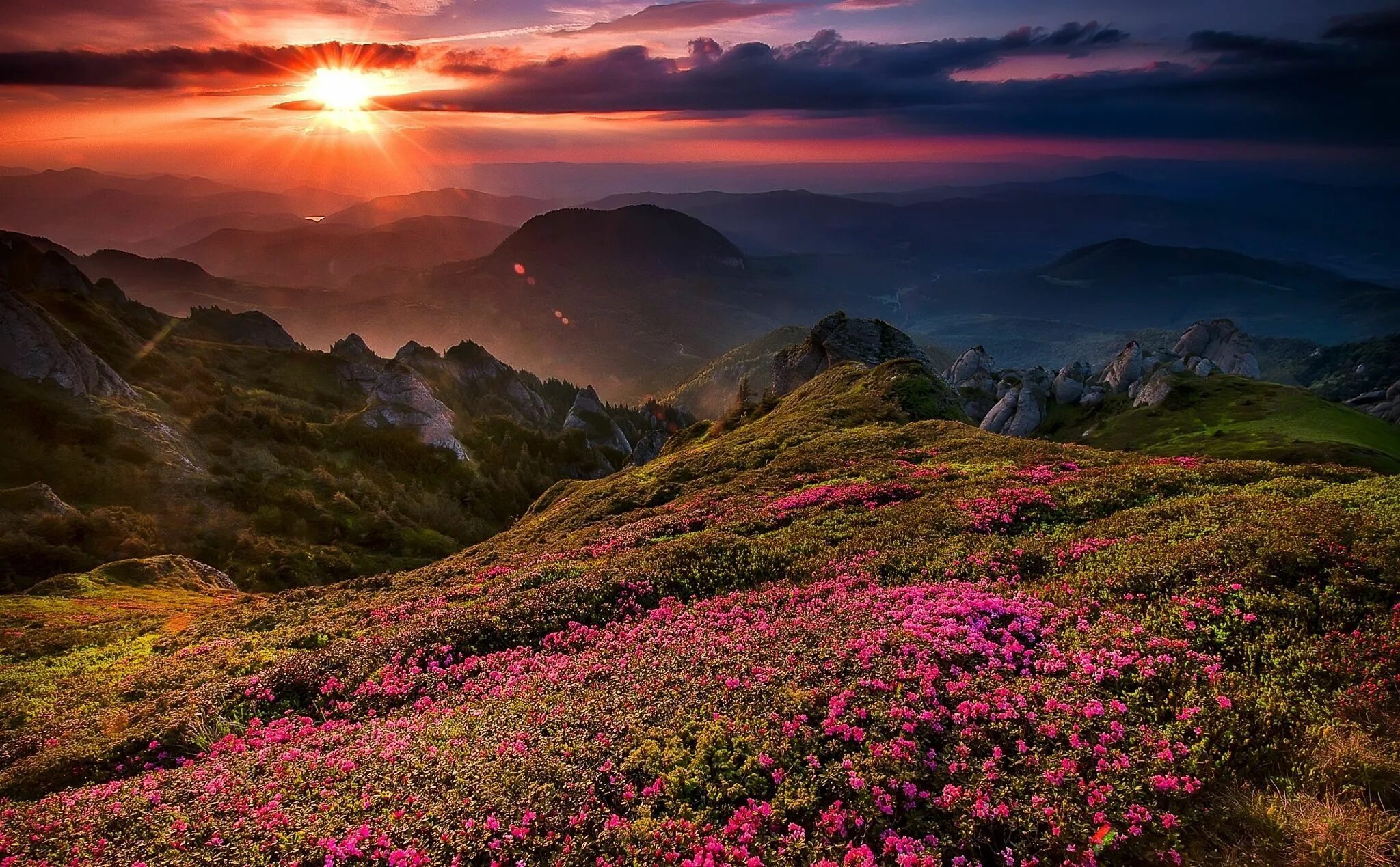 Beautiful valleys. Закат в горах. Цветы в горах. Рассвет в горах. Горы солнце.