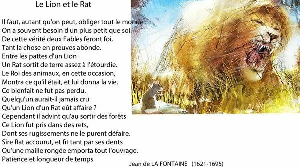 лев и крыса. сказочные крысы. мантикора львица. фурри мышонок. гороскоп для льва крысы.