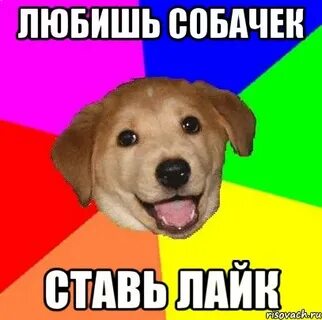 Лайк поставлю собака