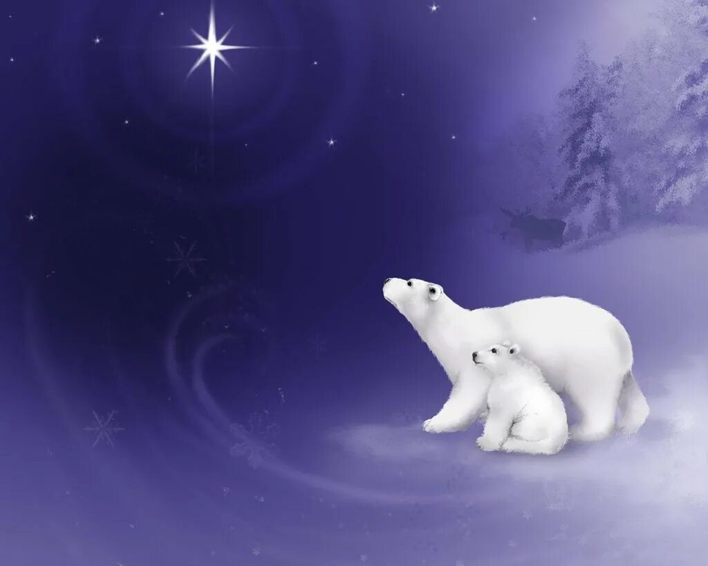 Северная колыбельная. Белый медведь Умка. Белый медведь из мультфильма Умка.