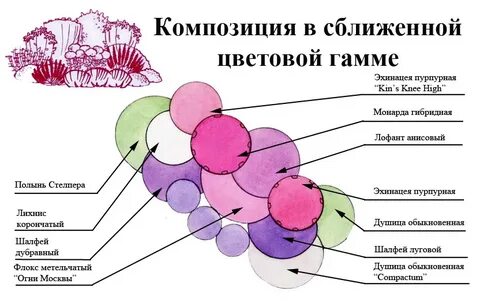 Готовые схемы цветов