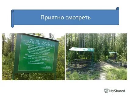 Самаровское лесничество