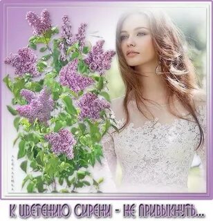 Женщина дня 21