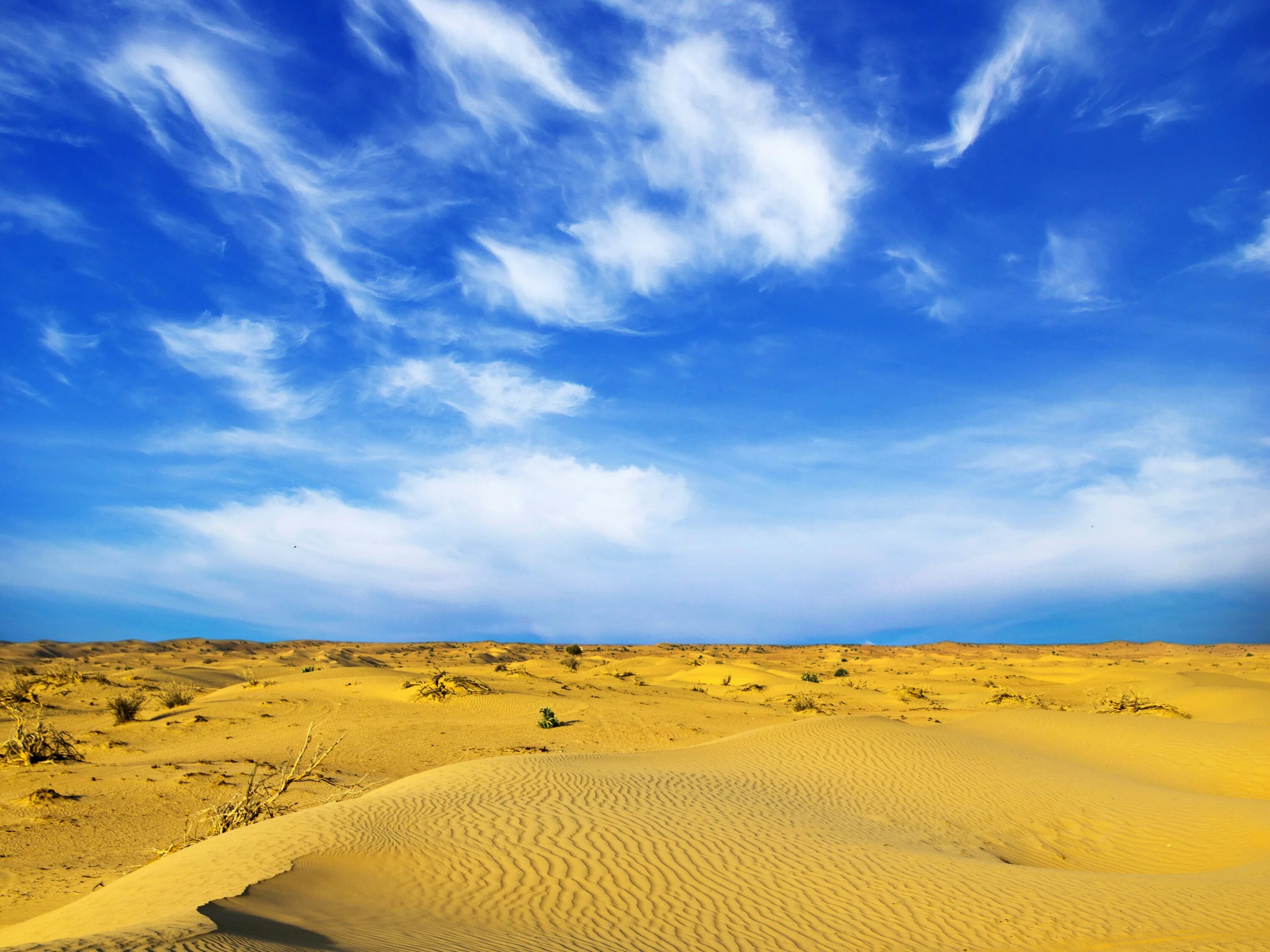 О желтой пустыне. Жёлтая пустыня обои. Пустыня гоби. Желтая пустыня. Барханы пески пустыня.