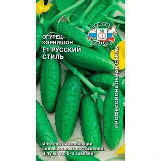 Сорт огурцов русский