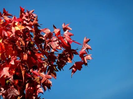 Leave the red