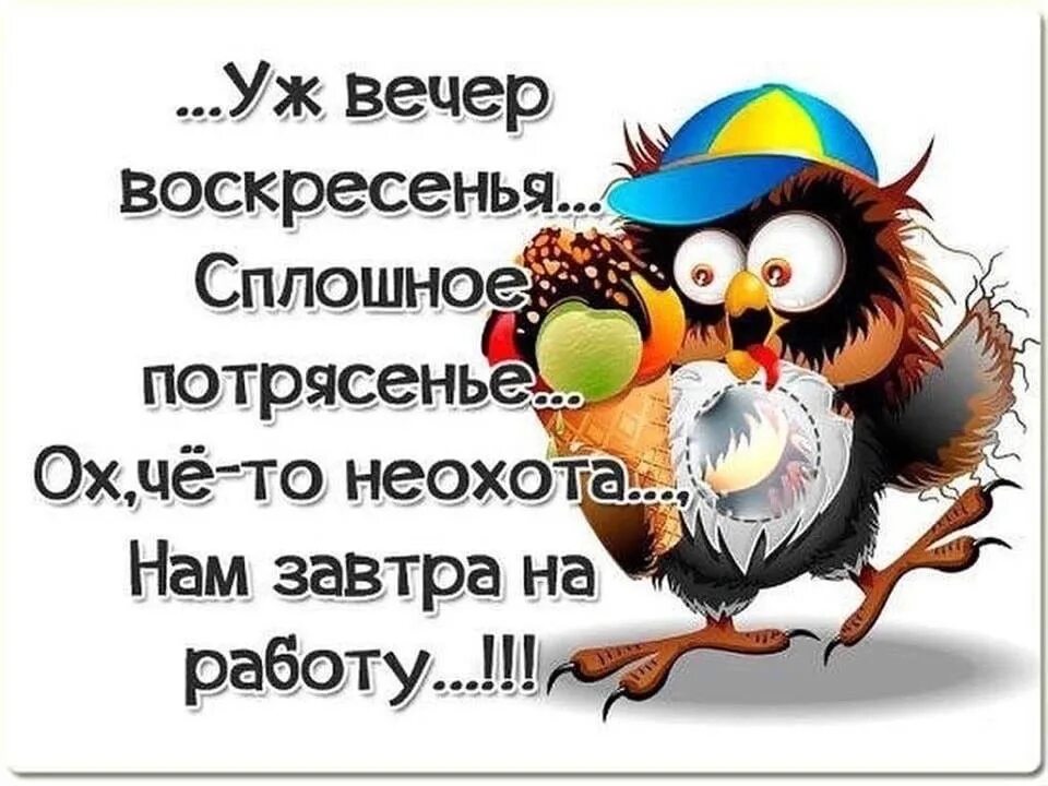 Вечер воскресенья. Статус про воскресенье. Открытки с воскресеньем прикольные. Воскресенье цитаты. Воскресение афоризмы