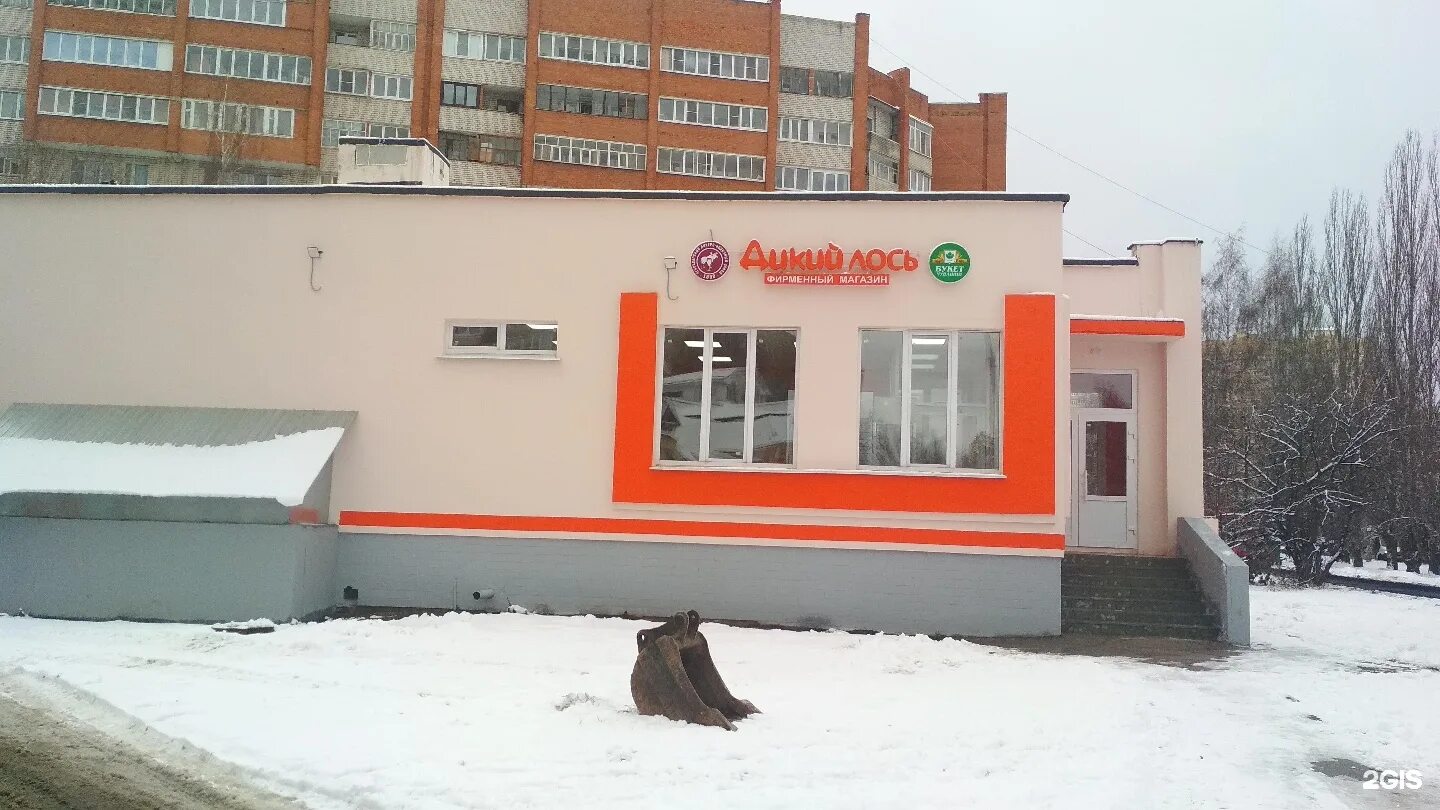 фирменный магазин дикий лось в чебоксарах. максима горького 38 чебоксары. м горького 32 чебоксары. дикий лось алкомаркет чебоксары. проспект мира 26 чебоксары.