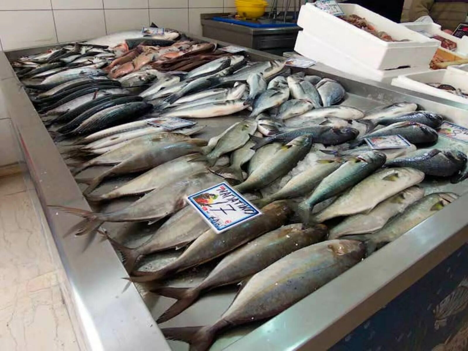 Какую рыбу продают