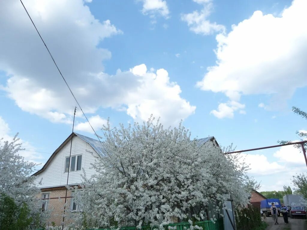 гавриловка 1 тамбовская область. прогноз погоды на неделю гавриловка 2.