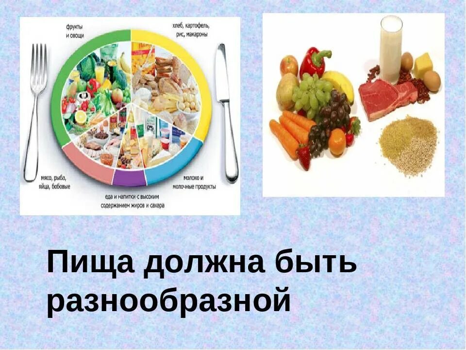 Чем представлен желтый сегмент в разнообразном питании. Гигиена питания профилактика. пища должна быть. пища должна быть питательной и разнообразной. почему пища человека должна быть разнообразной.