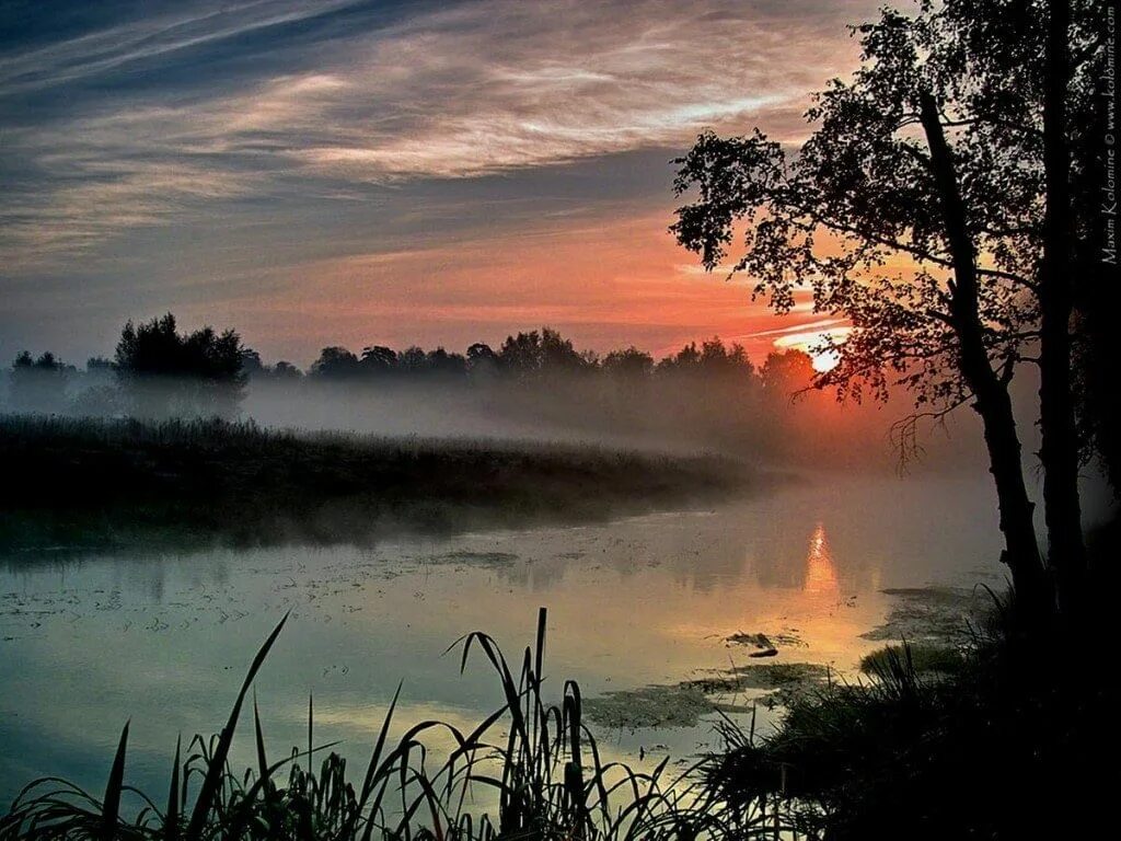Песня видел а ночью в тишине. Туманное утро Фет. Вечер над рекой. Рассвет на пруду. Рассвет на реке.
