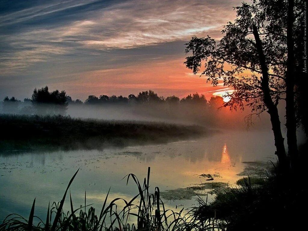 Весенний ветер теплыми ночами