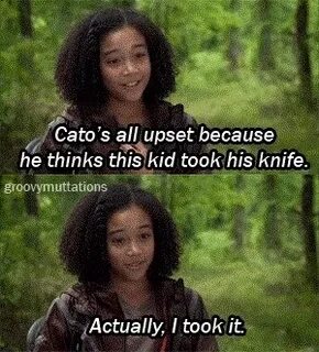 He s upset because his cat got