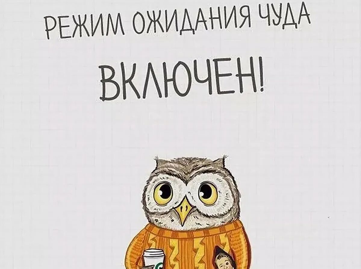 День ожидания чуда картинки прикольные. В ожидании чуда картинки. Я В режиме ожидания. Прикольные высказывания про ожидания. Открытка ожидание.