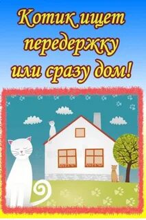 Маме нужен дом
