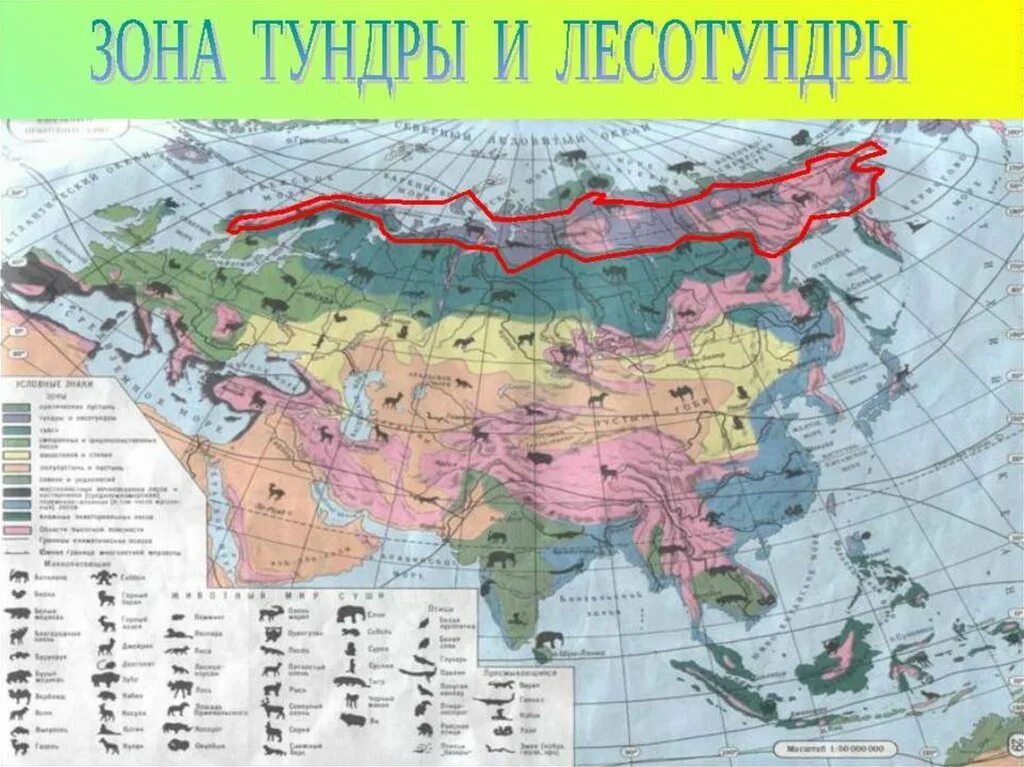 Географические пояса евразии. Природные зоны Евразии атлас. Карта природных зон Евразии. Природная зона Евразии на карте Евразии. Карта природных зон Евразии в атласе.