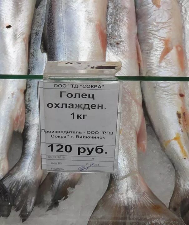 магазин рыбак камчатки пермь