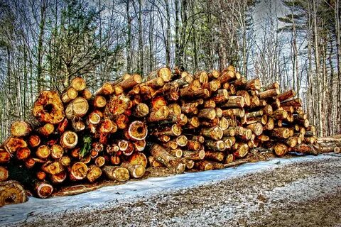 Logs download