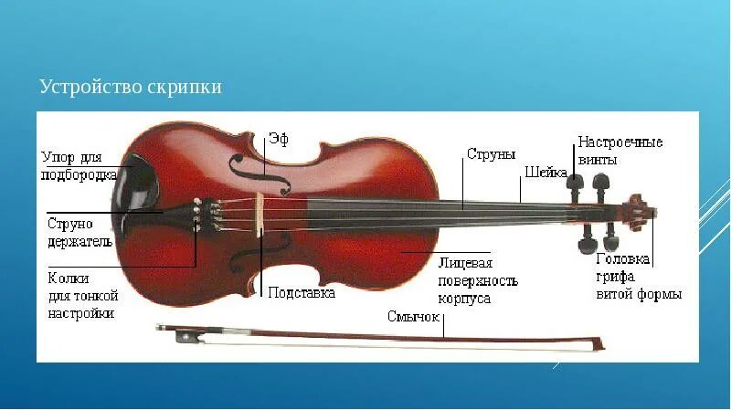 Струнно-смычковые музыкальные инструменты названия. Детали скрипки названия. Скрипки и их названия. Строение виолончели. Скрипки и их названия.
