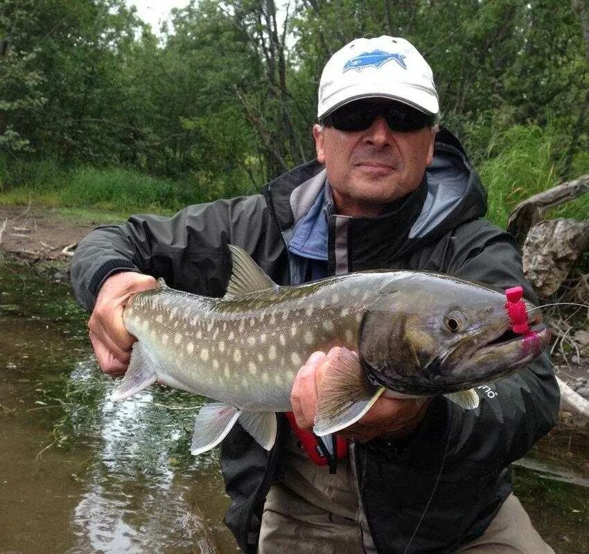 Река сторожа. Кунжа. Рыбалка на Камчатке. Река сторож Камчатка рыбалка. Камчатка рыбалка река.