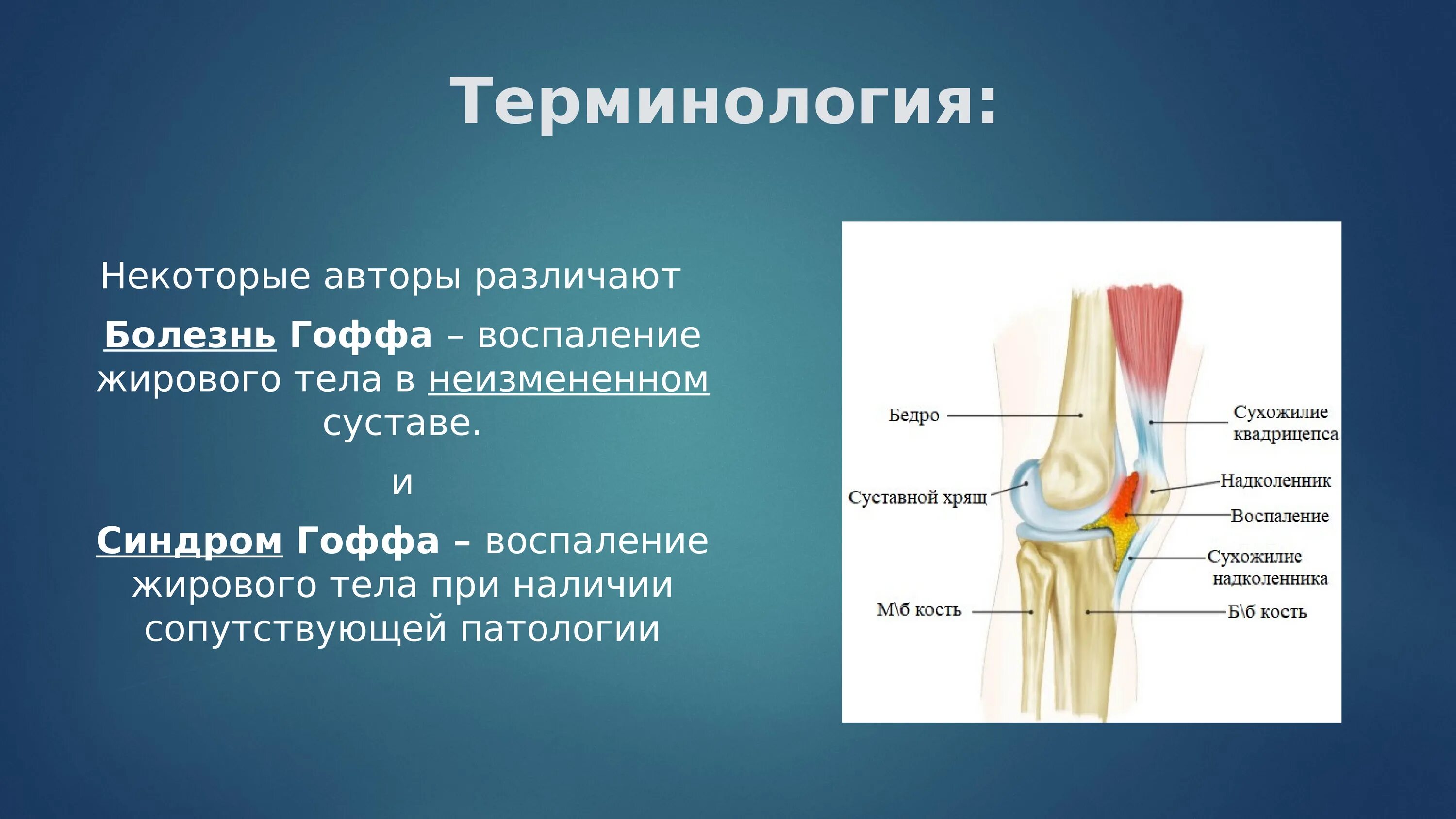 Отек гоффа коленного сустава. Жировое тело Гоффа коленный сустав. Клетчатка жирового тела Гоффа. Болезнь Гоффа (липоартрит).