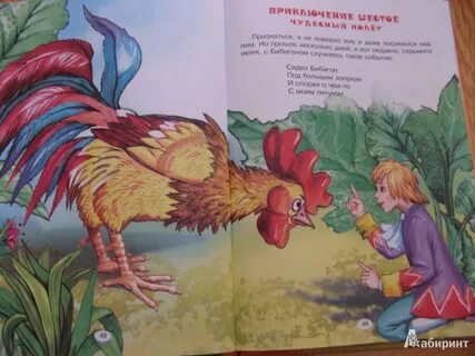 Бибигон индюк