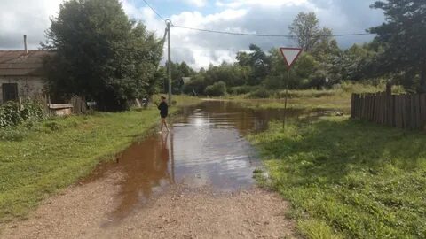 Погода поярково амурская область михайловский