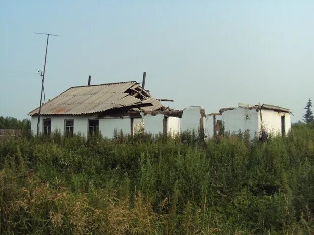 Погода в паново крутинский район. Деревня Рыжково Омская область. Крутинский район Рыжково. Деревня Паново Омская область. Деревня Салтаим Омская область.