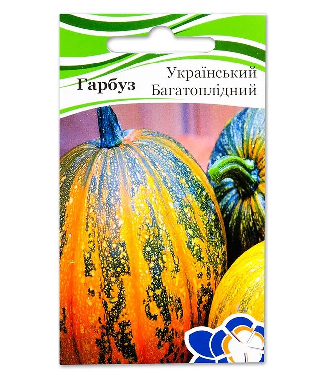 Украинская многоплодная тыква. Гарбуз на украинском. Сорт тыквы титан. Гарбуз что это по украински. Украинская многоплодная тыква.