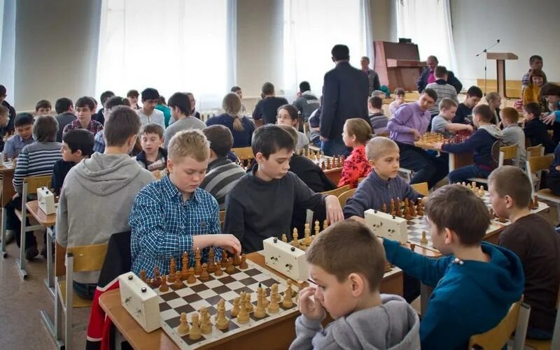 проведение шахматного турнира