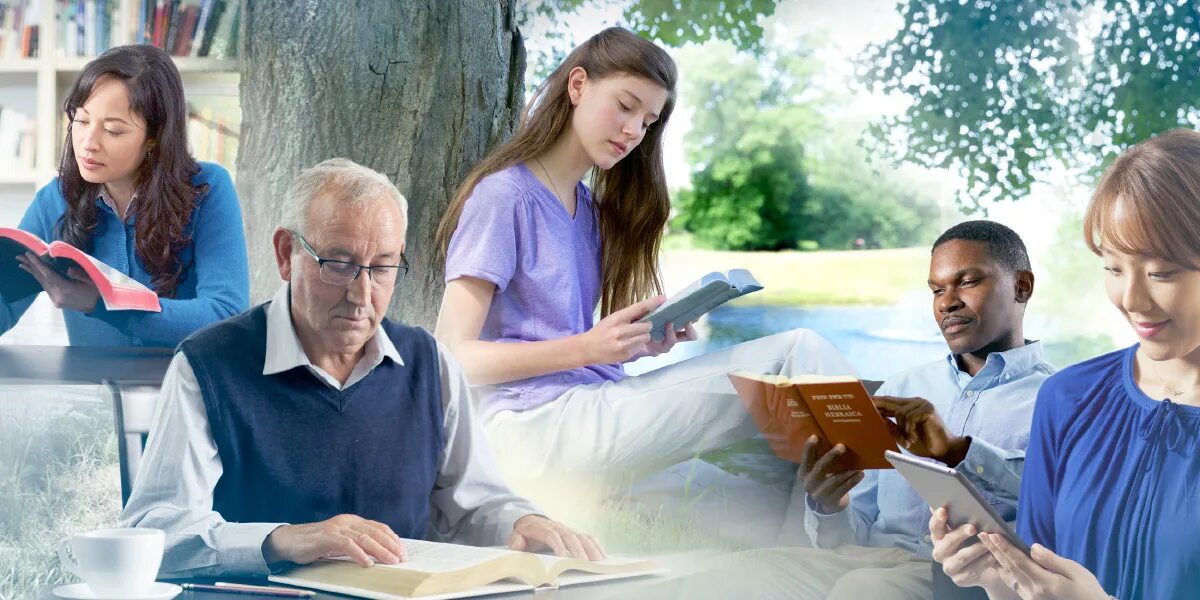 перевод нового мира. свидетели иеговы книги брошюры. проповедь свидетелей иеговы jw. свидетели иеговы читать. свидетели иеговы книжки.