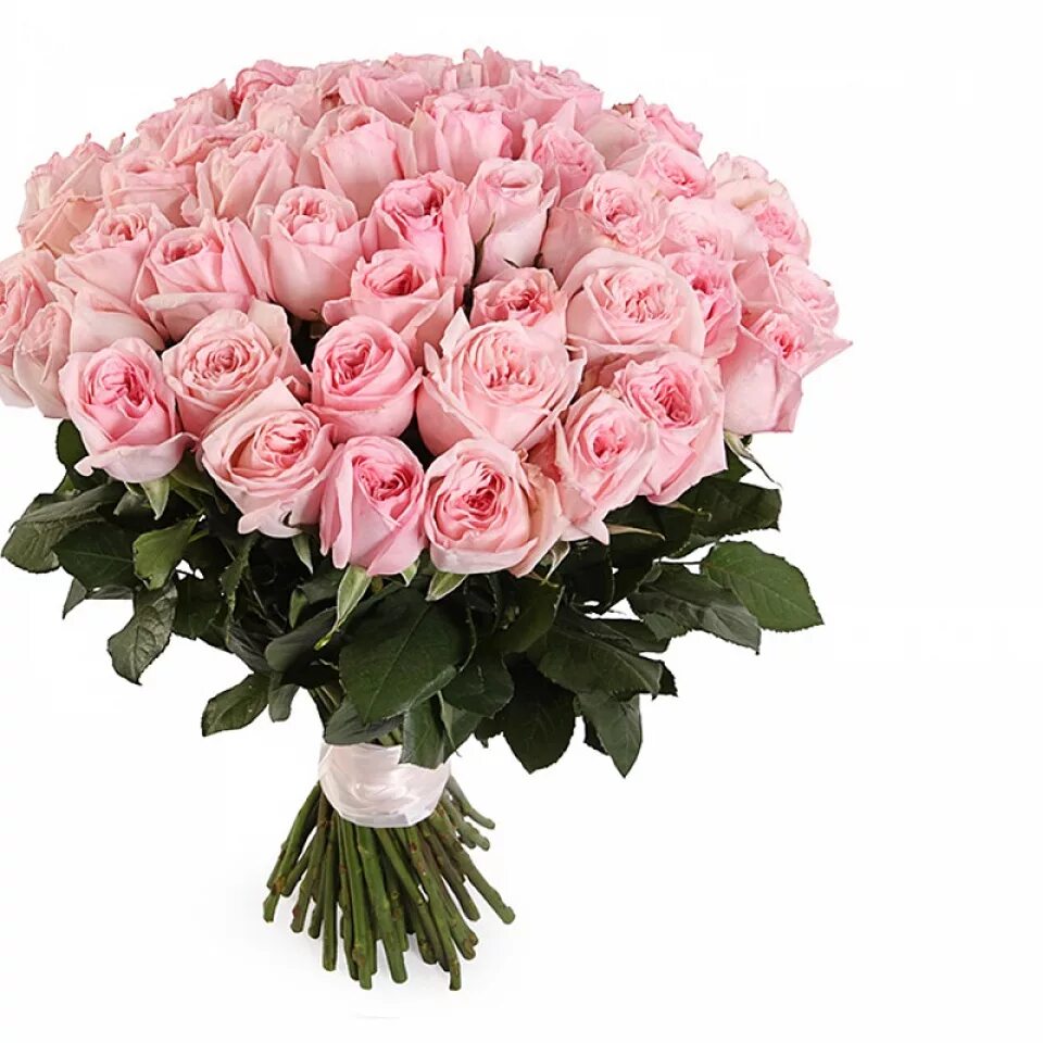 Букет розовый купить. Розы Эквадор 51шт нежно розовые.