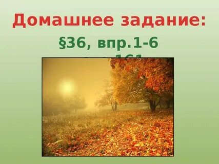 Биология 6 класс тема листопад