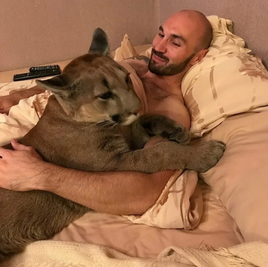 Месить кот
