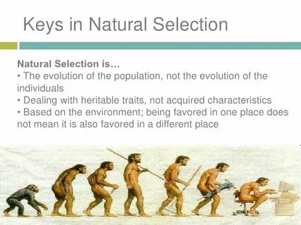 Selection meaning