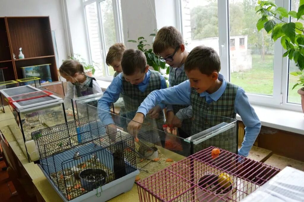 Живой уголок в классе. Живой уголок в школе. Живой уголок в ДОУ. Зооуголок в детском саду. Живой уголок в начальной школе.