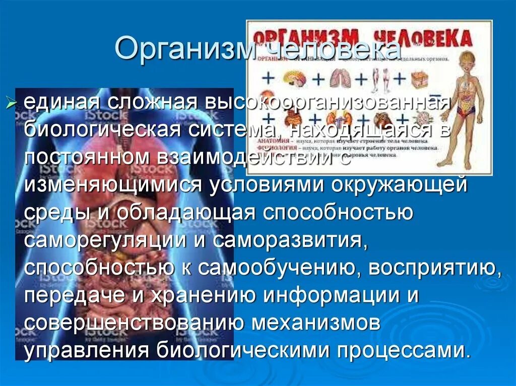 Саморегуляция систем организма. Организм человека сложная биологическая система. Саморегуляция организма человека. Основа организма человека. Организм человека как Единая биологическая система физкультура.