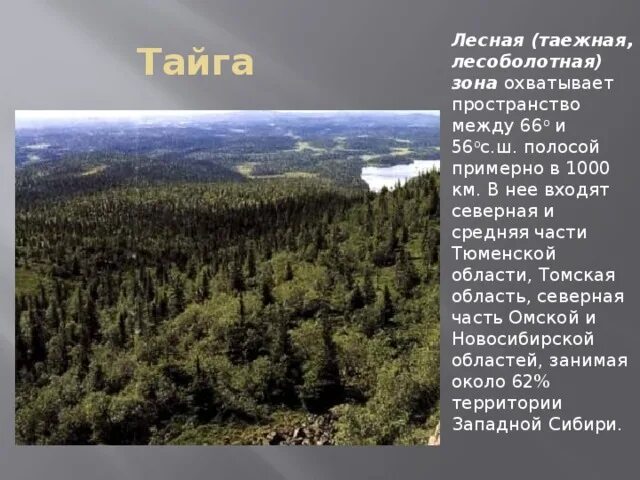 Климатические характеристики тайги