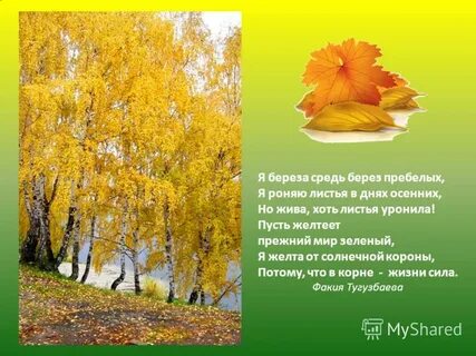 Зелено желтый стих