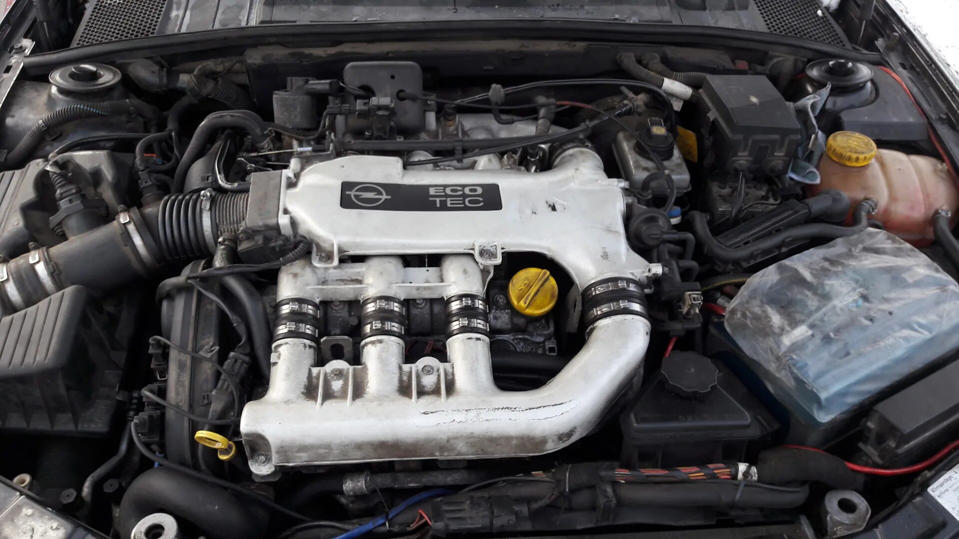 Не заводиться вектра б. Opel Vectra b 2.5 v6. 2.5 V6 Vectra b. Опель Вектра а 2.5 v6. Opel Vectra b v6.
