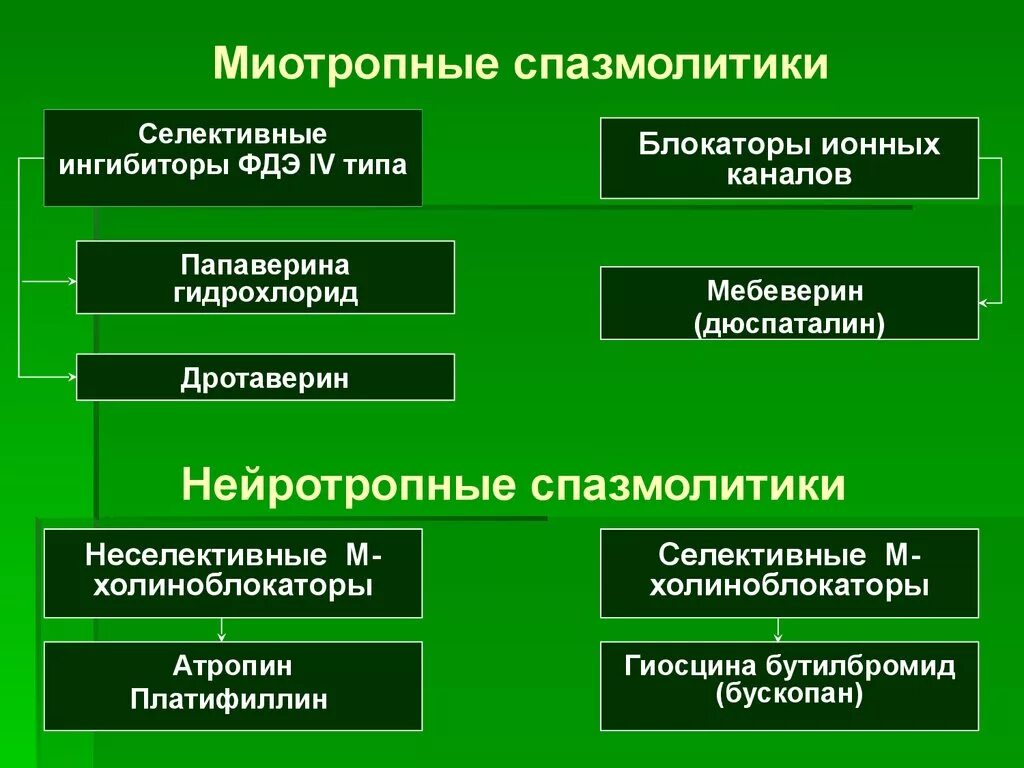 Спазмолитики. Спазмолитические препараты классификация. Селективные спазмолитики. Миотропные спазмолитики.