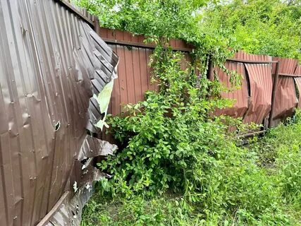 Белгородская область ситуация