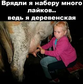 Доить корову во сне