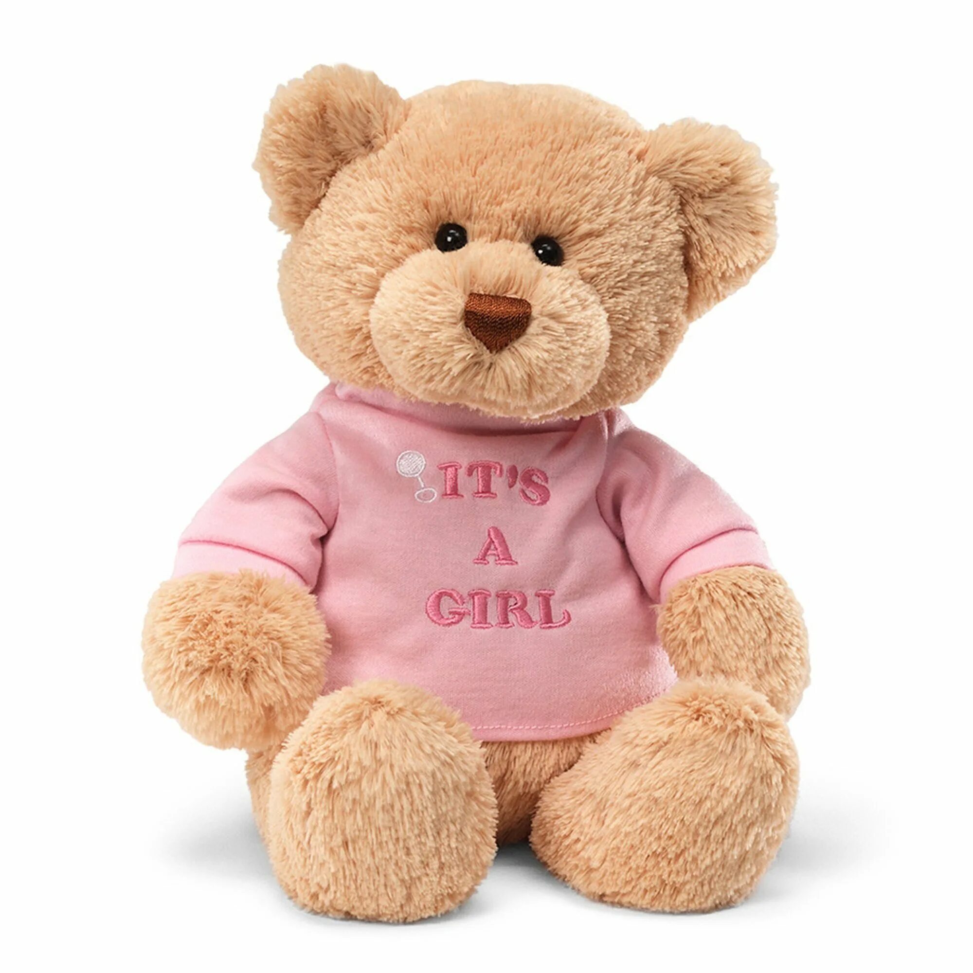 Its its toy. Baby Gund мягкая игрушка. Беар Тойс. Teddy Bear Soft Toy. Игрушка "мишка".