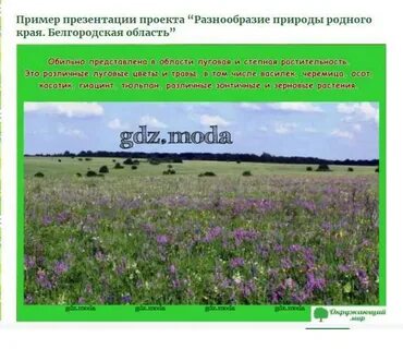 Белгородская область 3 класс