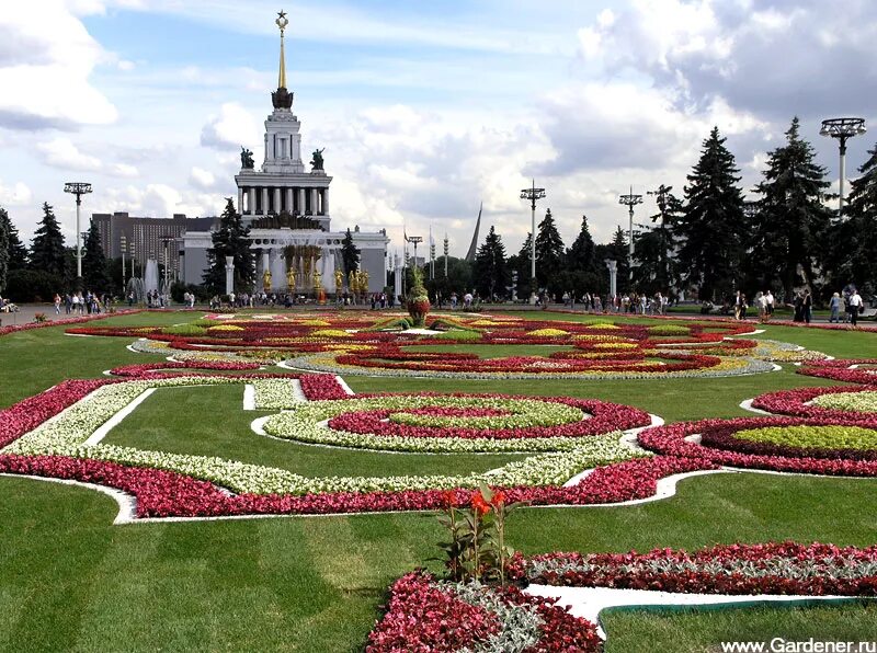 Царицыно вднх. ВДНХ цветочный партер. Парк Царицыно клумбы. Цветники парка Царицыно. Цветочный партер в Царицыно.